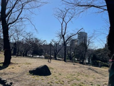 １年生 王子周辺 班別行動で新たな発見！